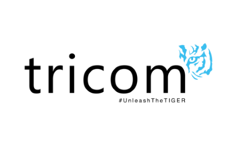 ‘Unleash the TIGER’ – TIGER Search